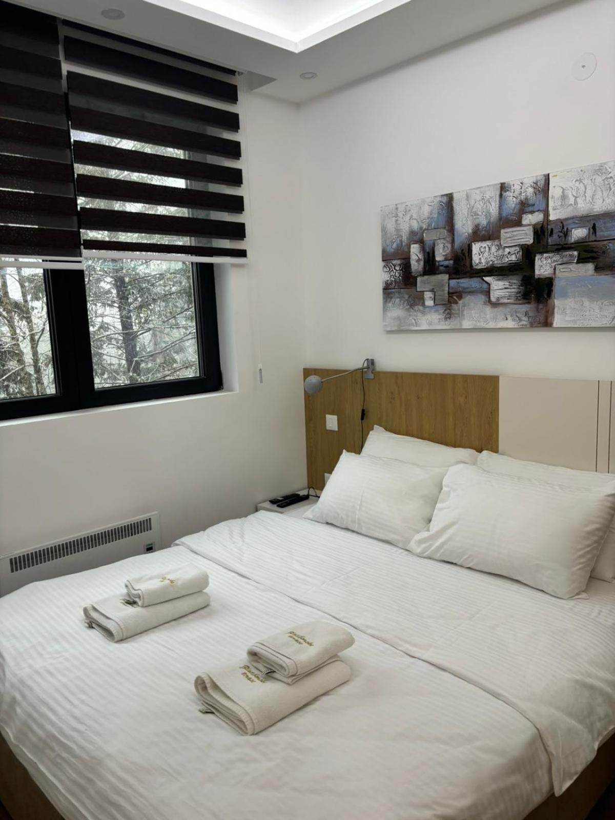 Ξενοδοχείο με διαμερίσματα Zlatiborske Terase Spa&wellness 4*